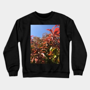 Leaves Crewneck Sweatshirt